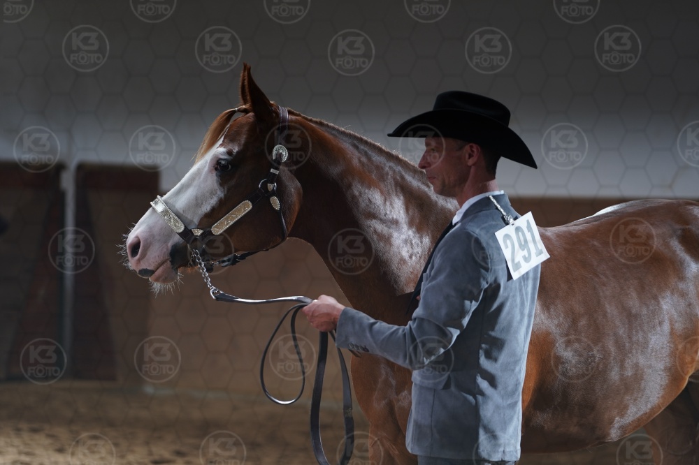 s_A9_04034.jpg